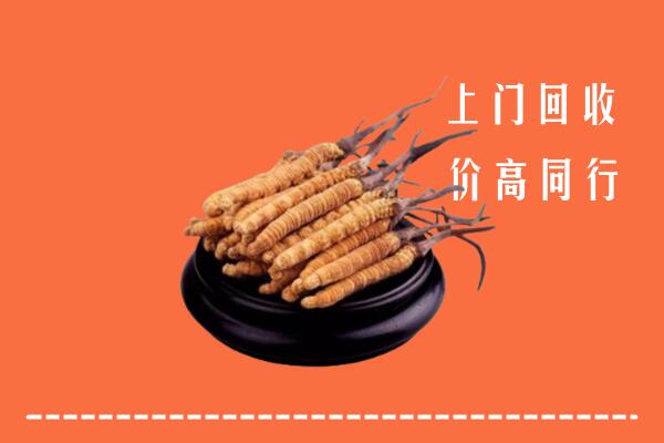 高价求购：沧州沧市回收散虫草