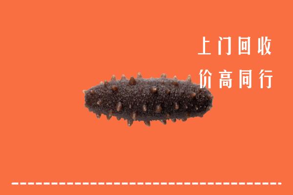 高价求购：沧州沧市回收海参