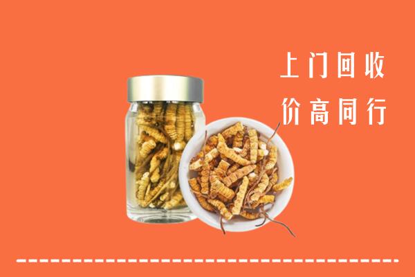 沧州沧市回收冬虫夏草