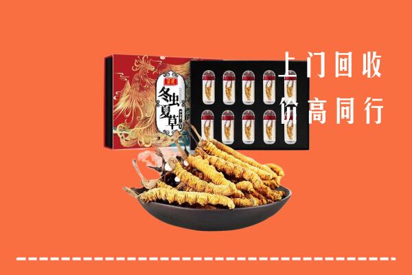沧州沧市回收虫草